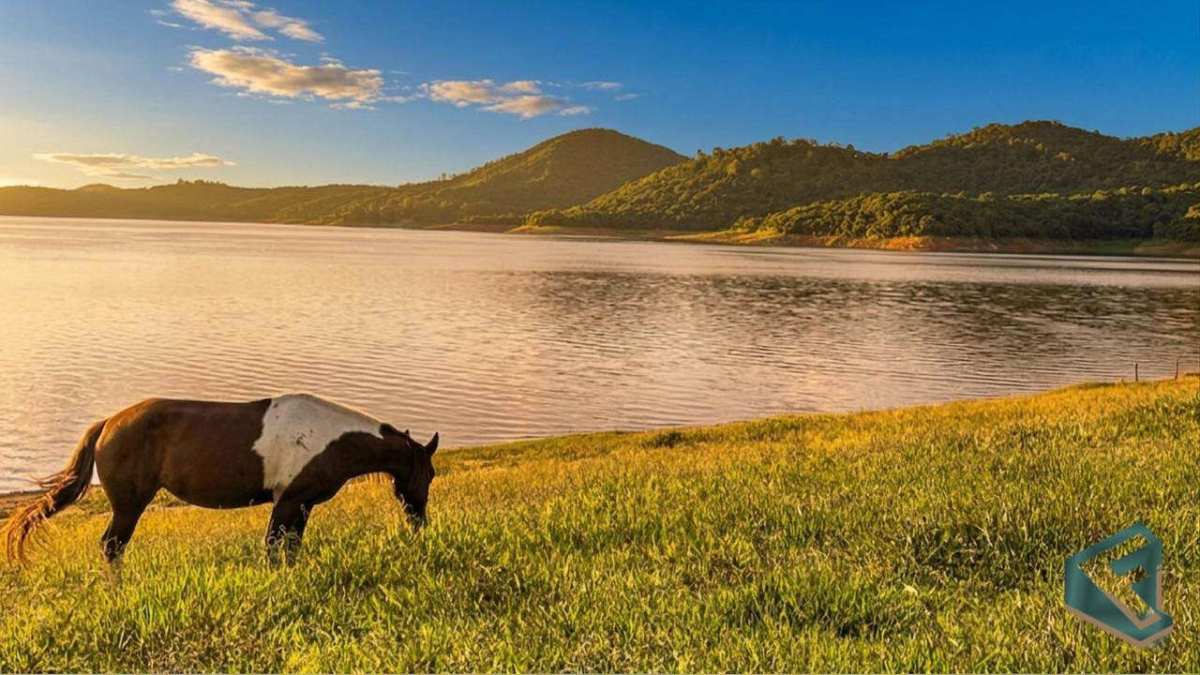 Melhor terreno de 20.000 mts², 127 de frente, lançante pra represa IMPECAVEL - FábioCangianellimóveis