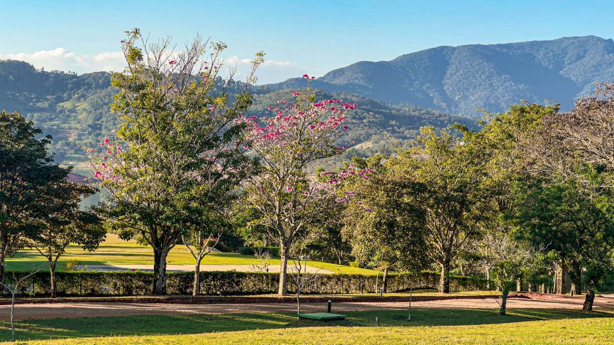  - E se o verdadeiro luxo fosse ter espaço para desaparecer?